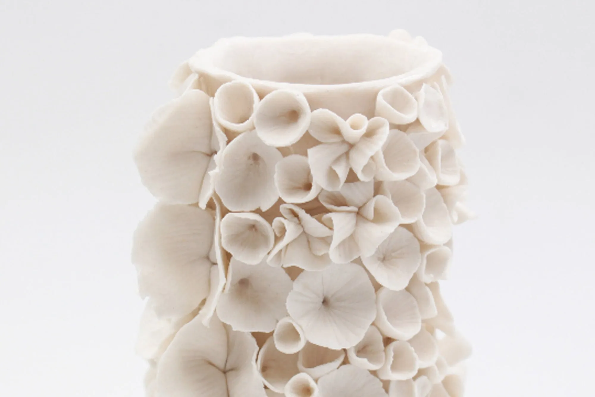 Coral Vase