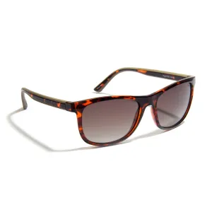 Gidgee Eyes Fender | Amber Tort