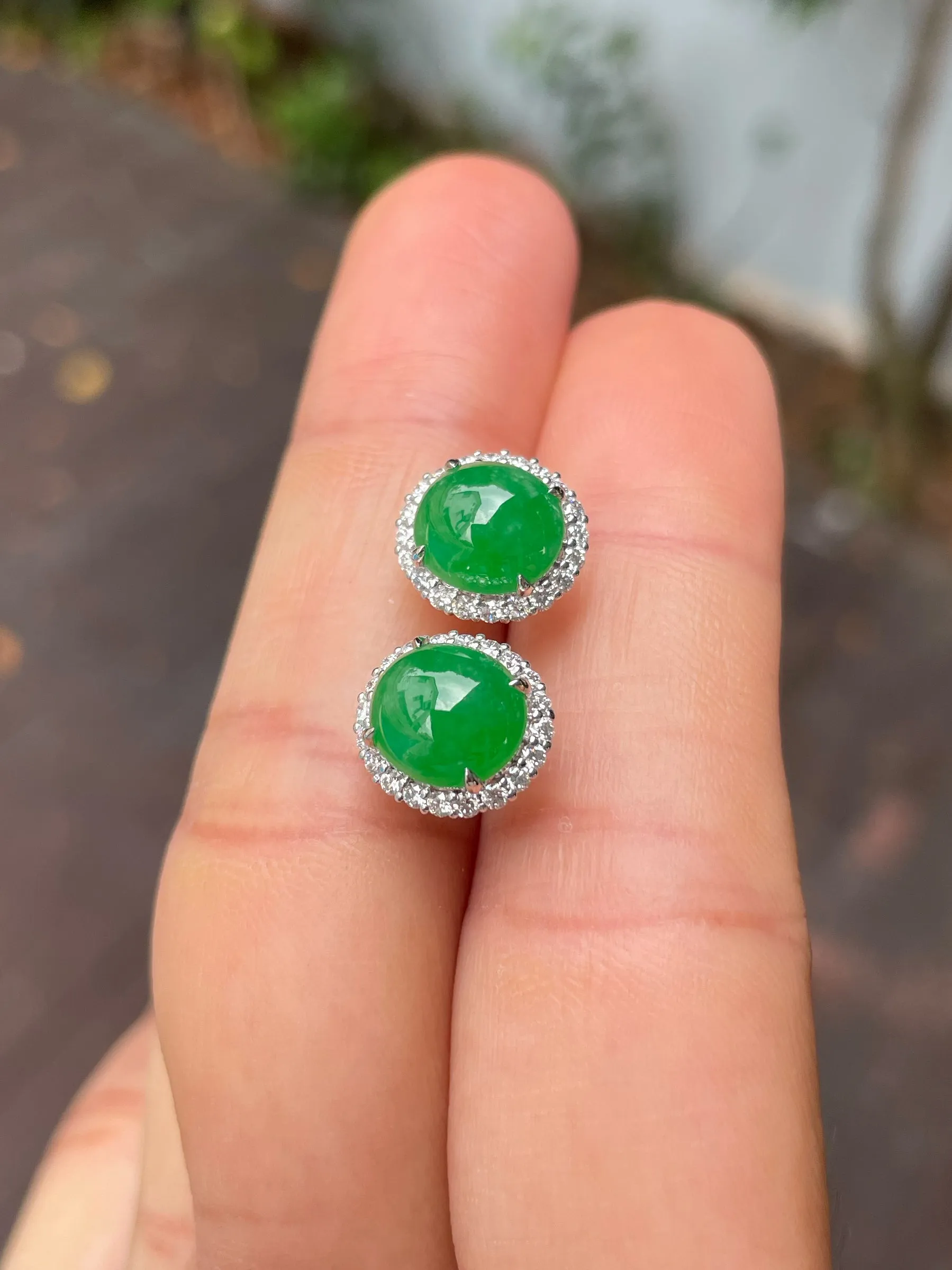 Green Jadeite Cabochon Earrings (NJE210)