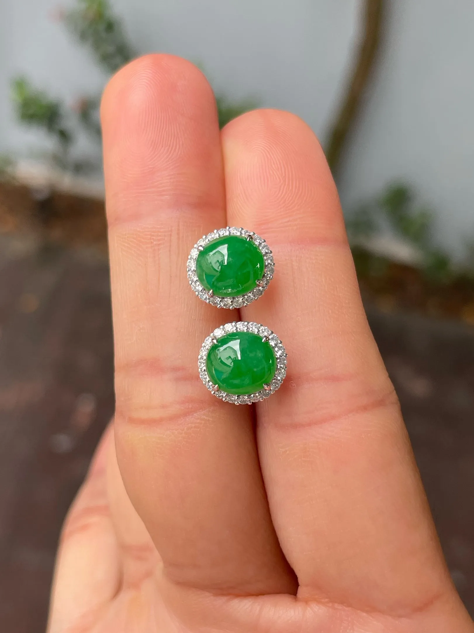 Green Jadeite Cabochon Earrings (NJE210)