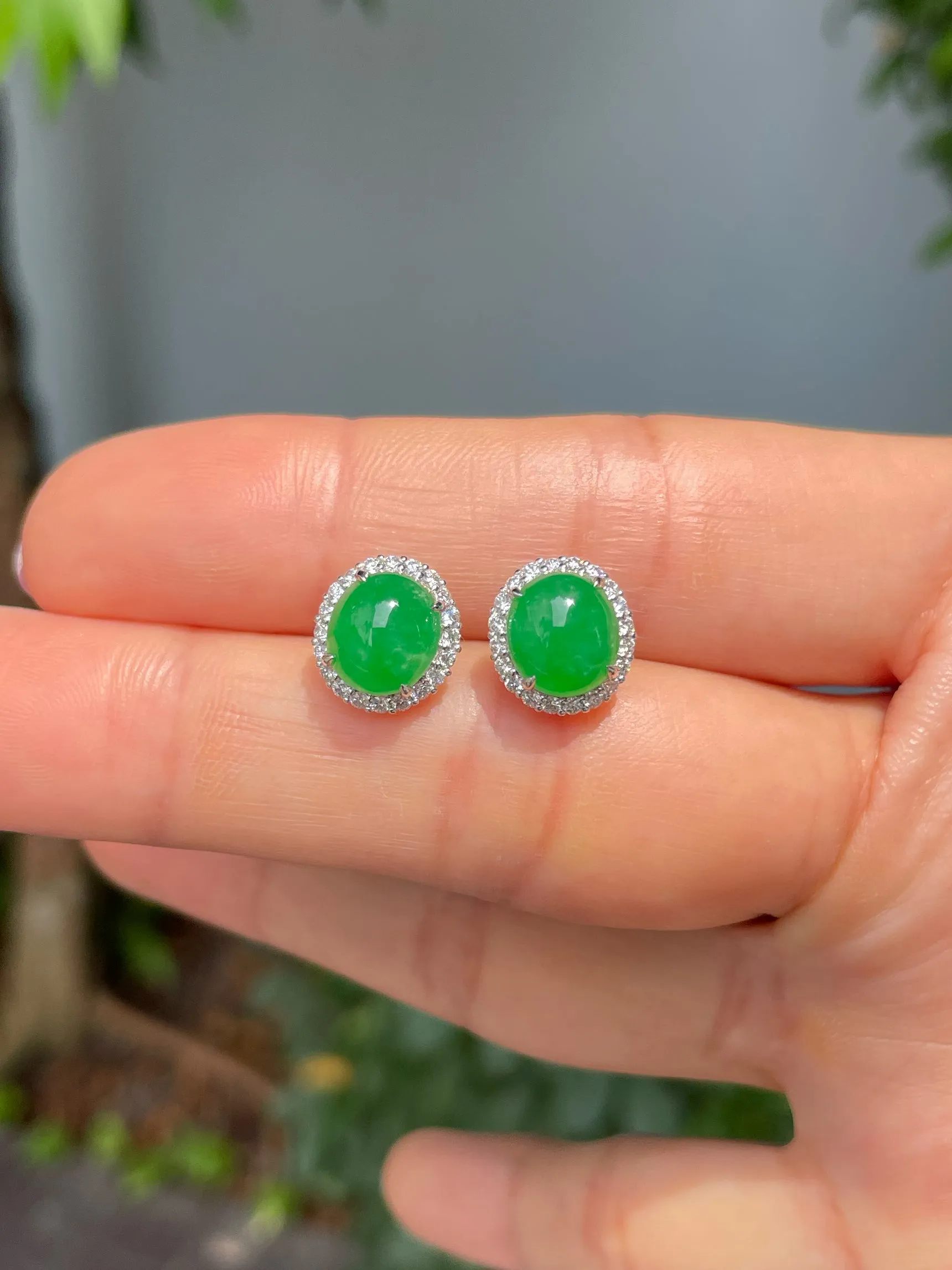 Green Jadeite Cabochon Earrings (NJE210)