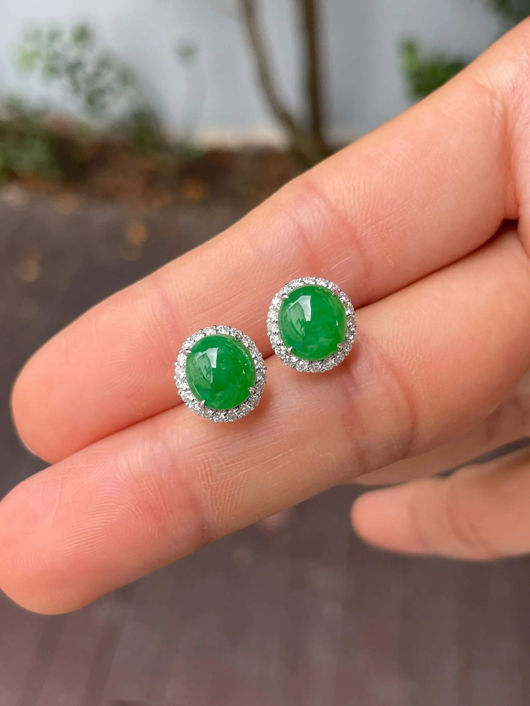 Green Jadeite Cabochon Earrings (NJE210)
