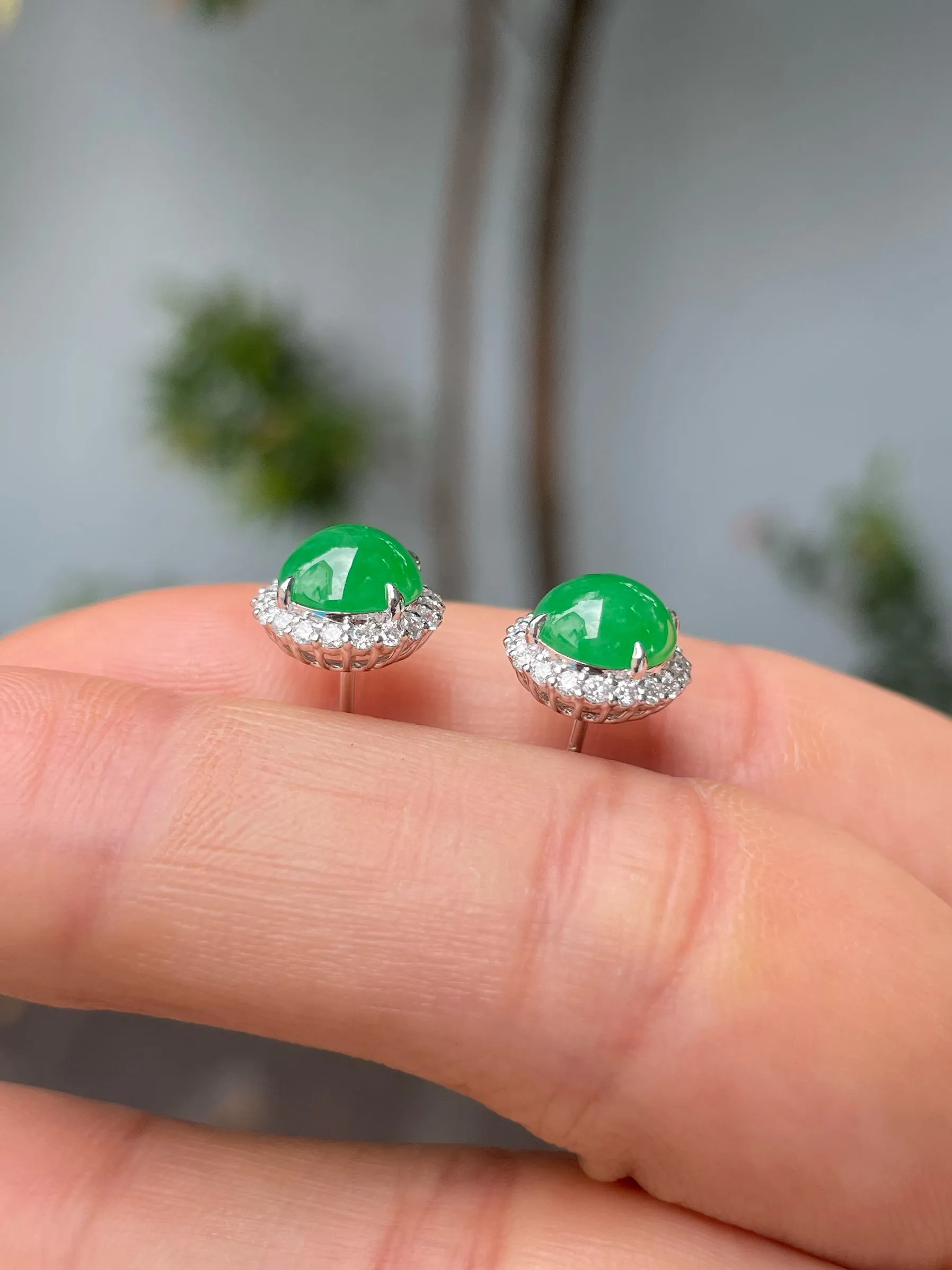 Green Jadeite Cabochon Earrings (NJE210)