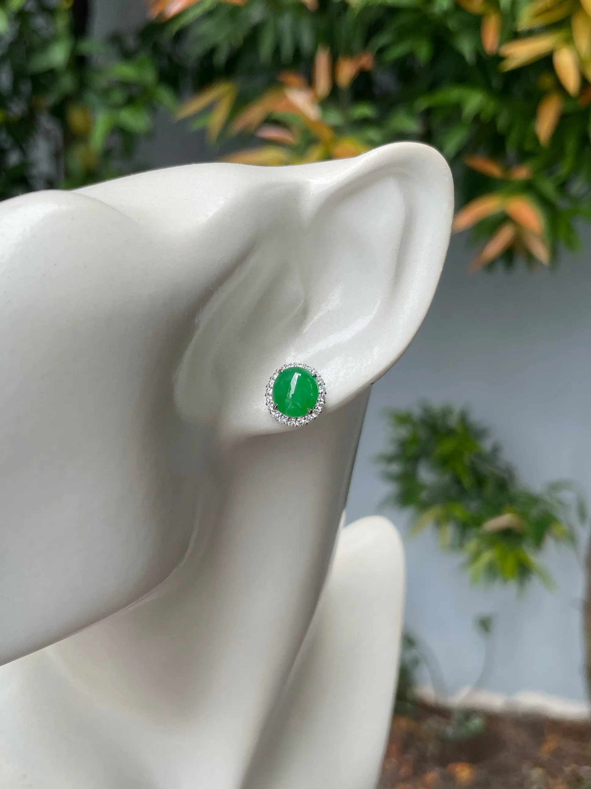 Green Jadeite Cabochon Earrings (NJE210)